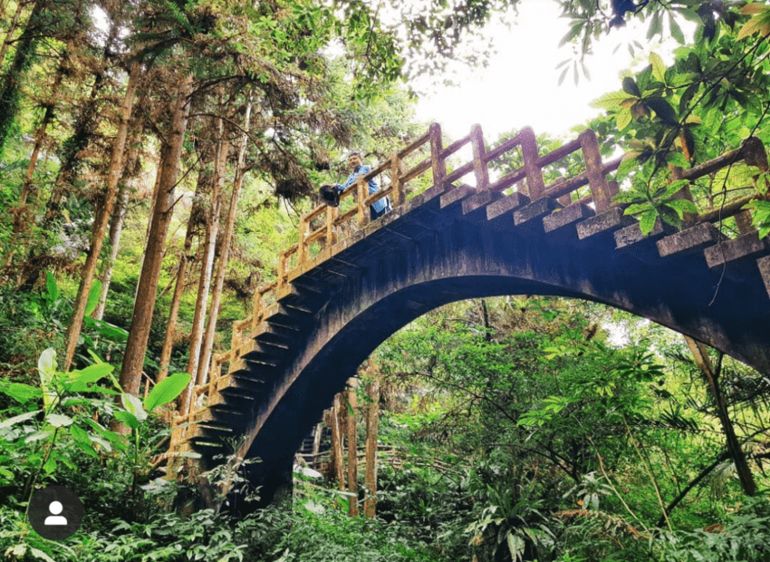 仙人崛の独特な岩壁の地形と山の植生の景観