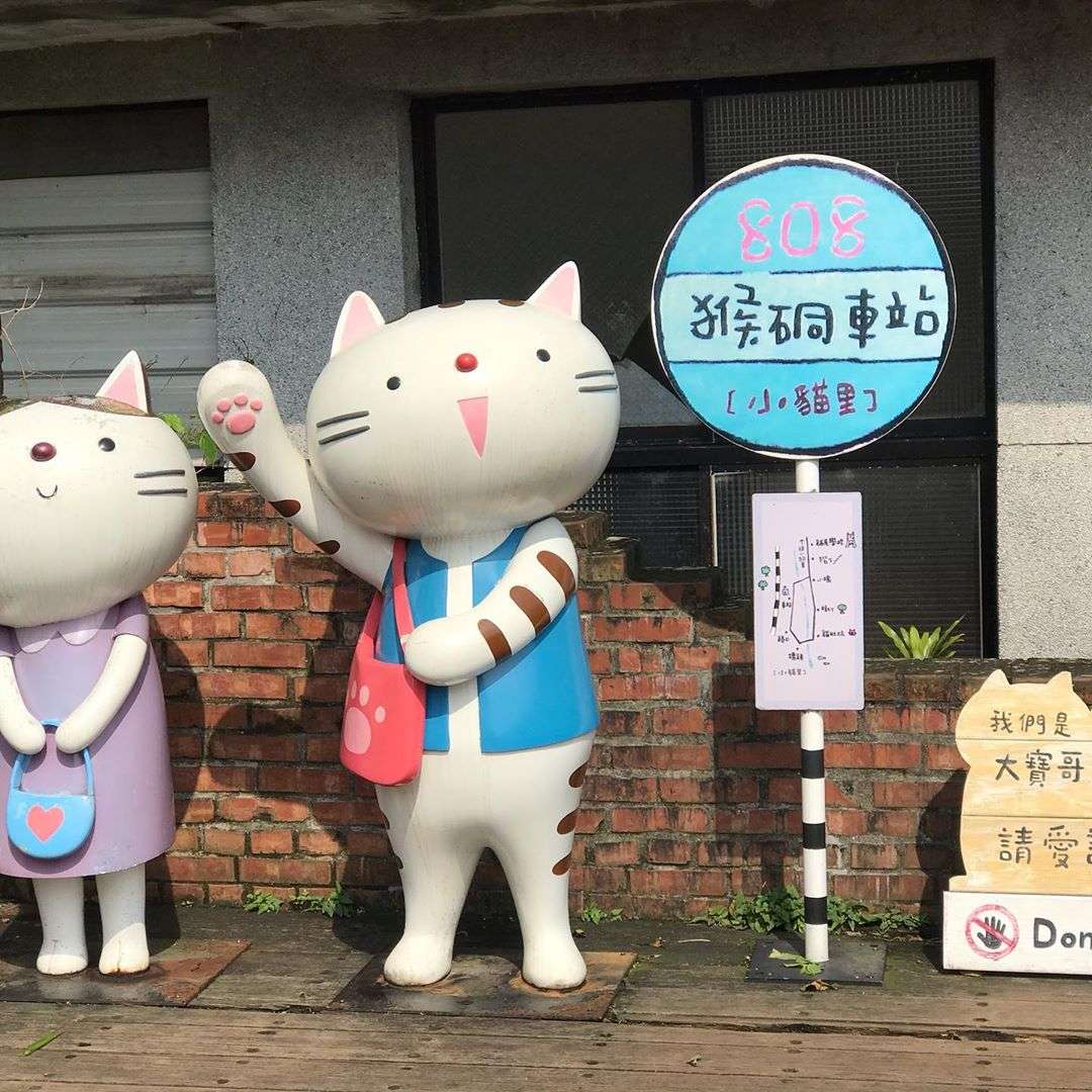 猴硐の路地でくつろぐオレンジ色の野良猫