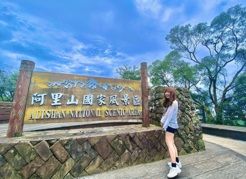 阿里山国家森林遊楽区内にそびえる紅檜の神木群。高い木々が空を覆い尽くしている