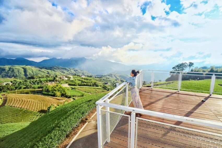 海鼠山1314展望台からの全景。茶畑の棚田と日の出の朝の光が重なる