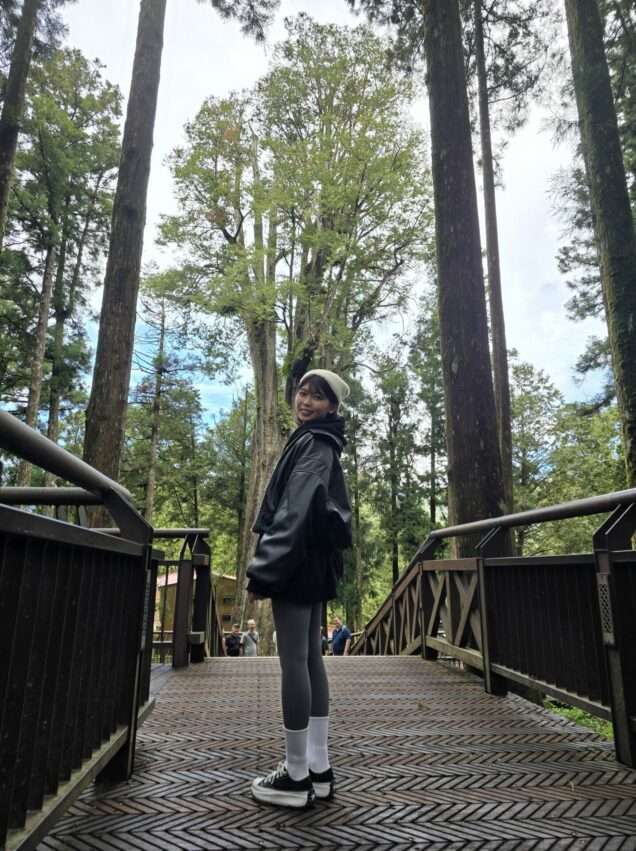 阿里山の香林神木。巨大な幹を見上げるアングルで撮影されている