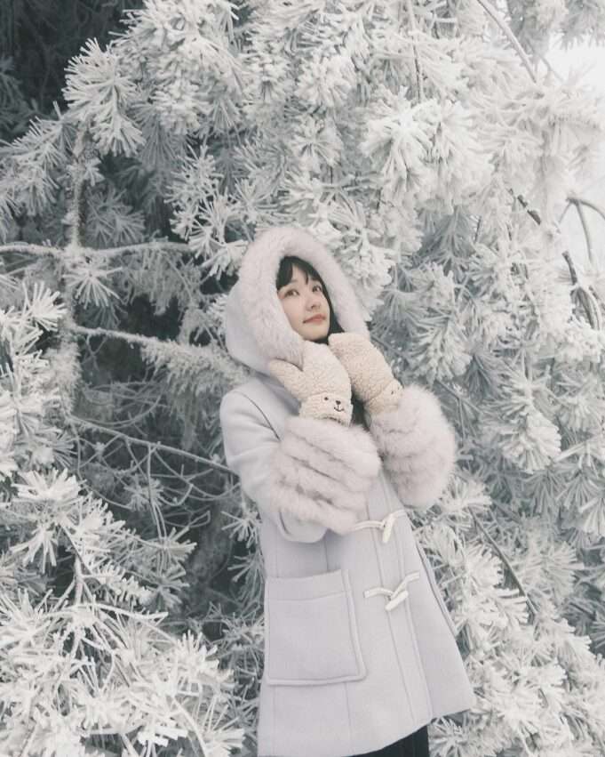 太平山の冬の雪景色。白雪が木々の梢と歩道を覆っている