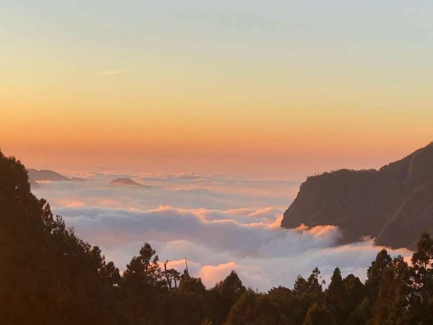 阿里山賓館の展望テラスから見た雲海。白い雲が周囲の山並みに抱かれるように広がる