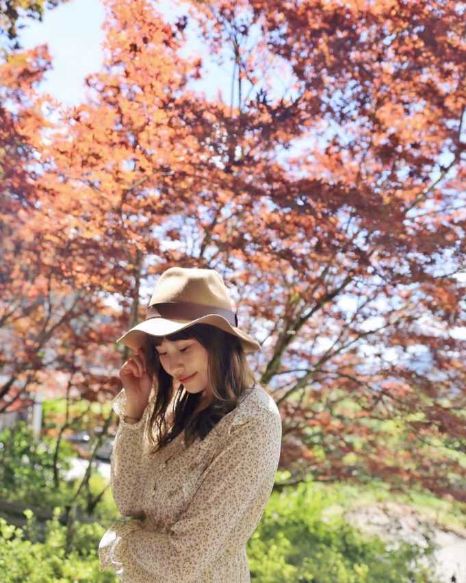 太平山の秋の紅葉。歩道の両側にオレンジ色や赤色のカエデが連なる
