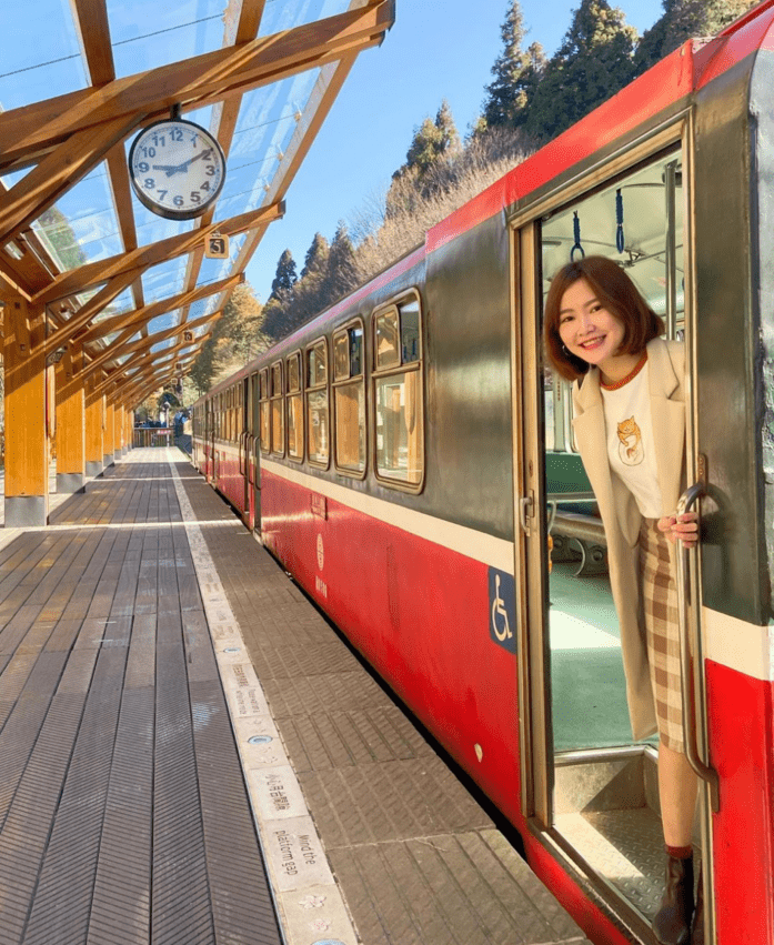 阿里山国家森林遊楽区内に高くそびえる紅檜の神木群