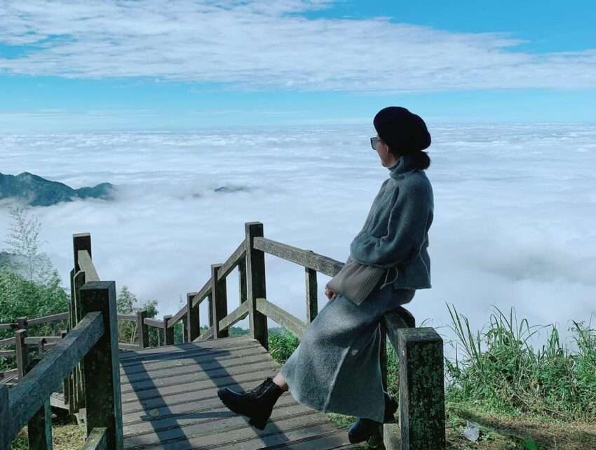二延平歩道の林間コース。両側に茶畑と山霞が広がる