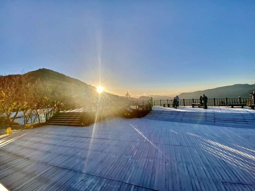 太平山国立森林レクリエーションエリアの高山森林全景。雲霧に包まれた針葉樹林が広がる