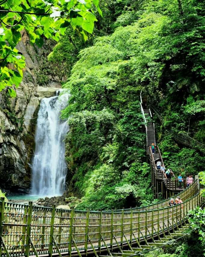 阿里山の観音瀑布。山の岩壁から水が流れ落ち、周囲には針葉樹やシダ植物が茂っています