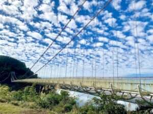 雲霧に包まれた山林の中に架かる太平雲梯の全景