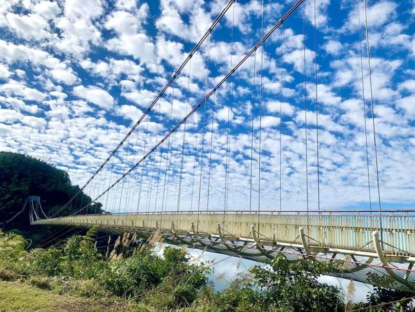 太平雲梯日帰り観光|30秒でわかる判断ガイド