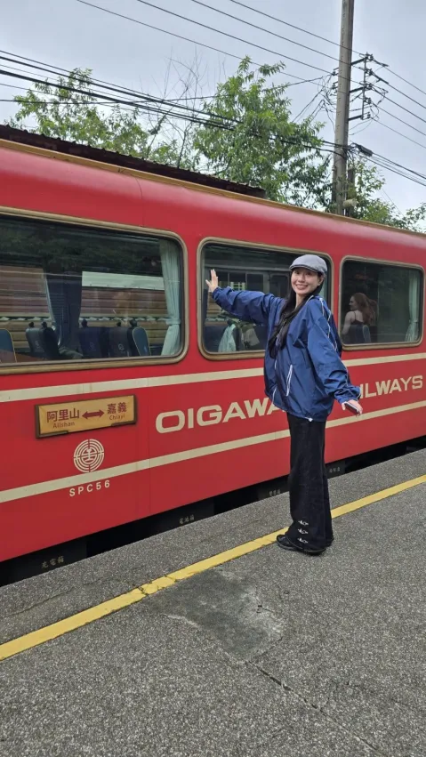 阿里山森林鉄道本線の列車が駅に停車している様子