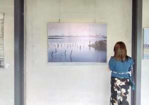 台湾アート写真展の感動的な巡り方完全ガイド2026
