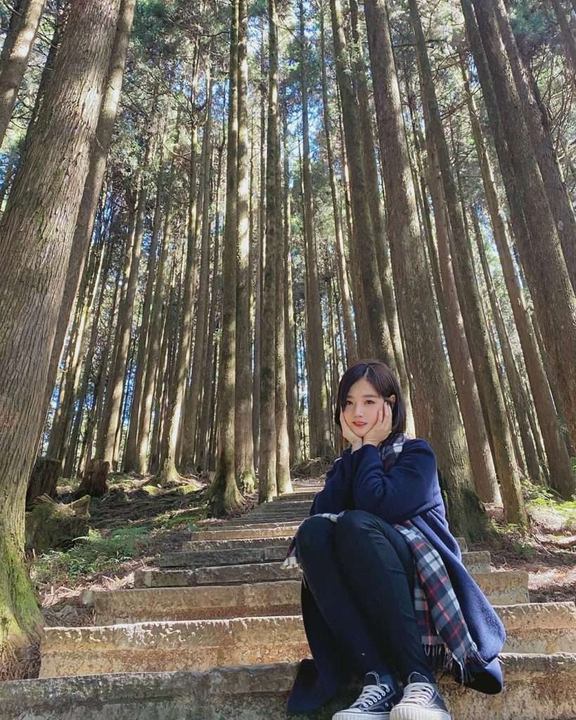 阿里山巨木群桟道の整備された歩道と巨木の幹のクローズアップ