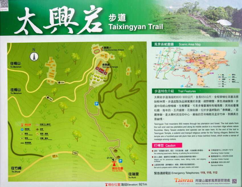 太興岩歩道の山林の様子。阿里山国家風景区管理処提供