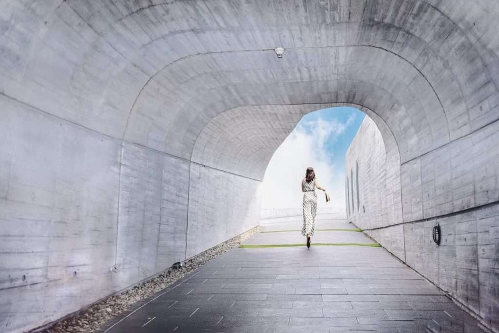 向山の落羽松遊歩道の近景。まっすぐに伸びる木々の幹
