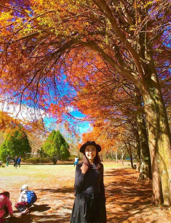奥万大国家森林遊楽区の紅葉が染まる林道