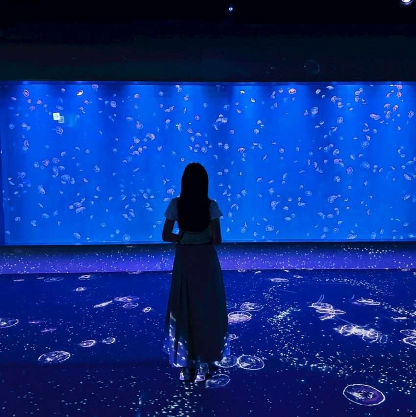 台中海洋館の室内水族展示エリア。大型水槽の中をさまざまな魚が泳いでいる