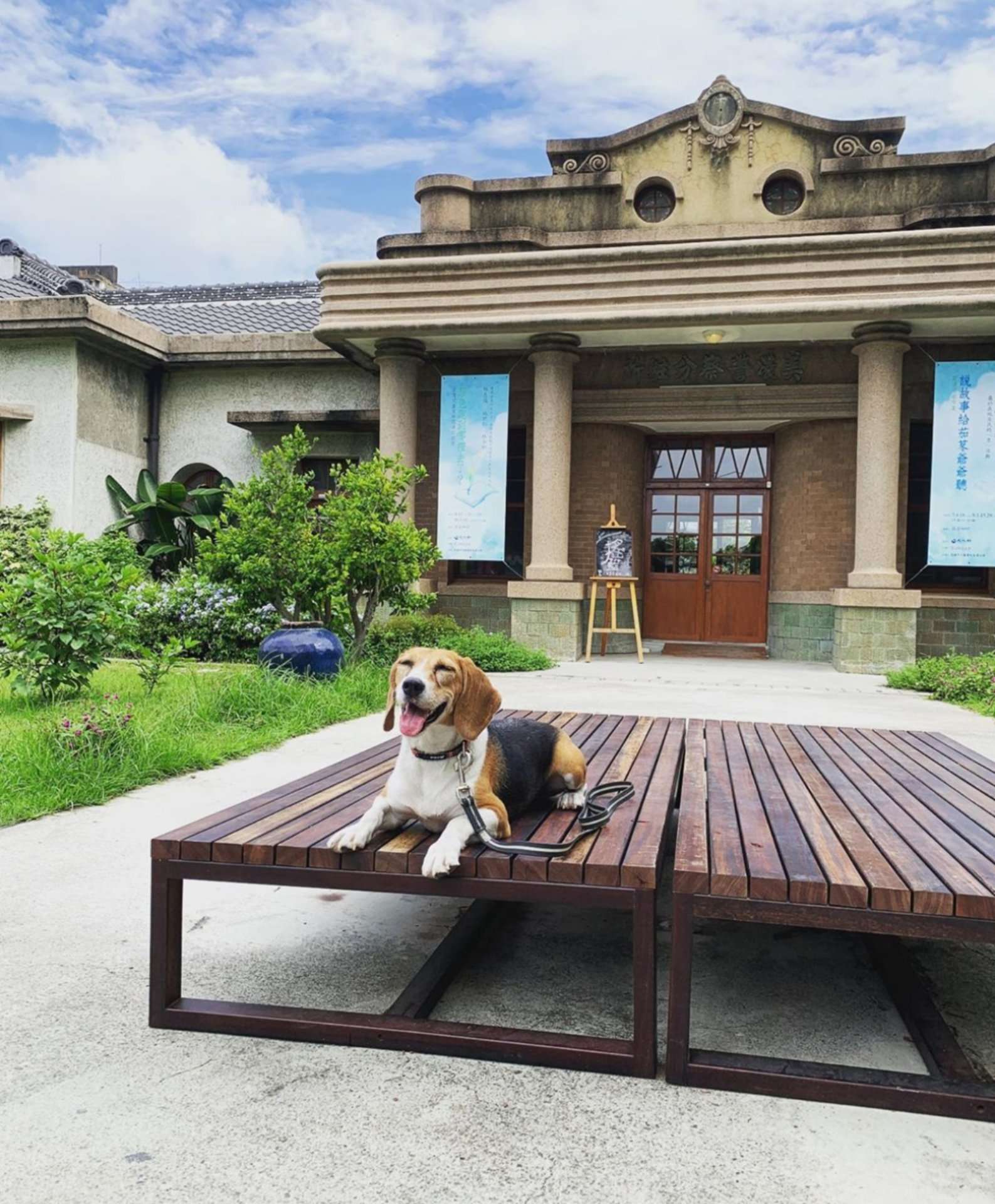 美濃文創中心のカフェ室内空間。旧建築の木質構造と温かな照明が落ち着いた雰囲気を作り出している