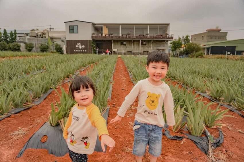 旺萊山鳳梨文化園区の黄金色のパイナップルケーキと田園の風景