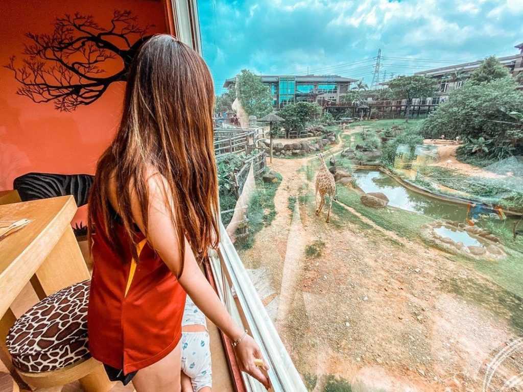 関西六福荘のアフリカテーマの客室。窓の外に動物園エリアが見える