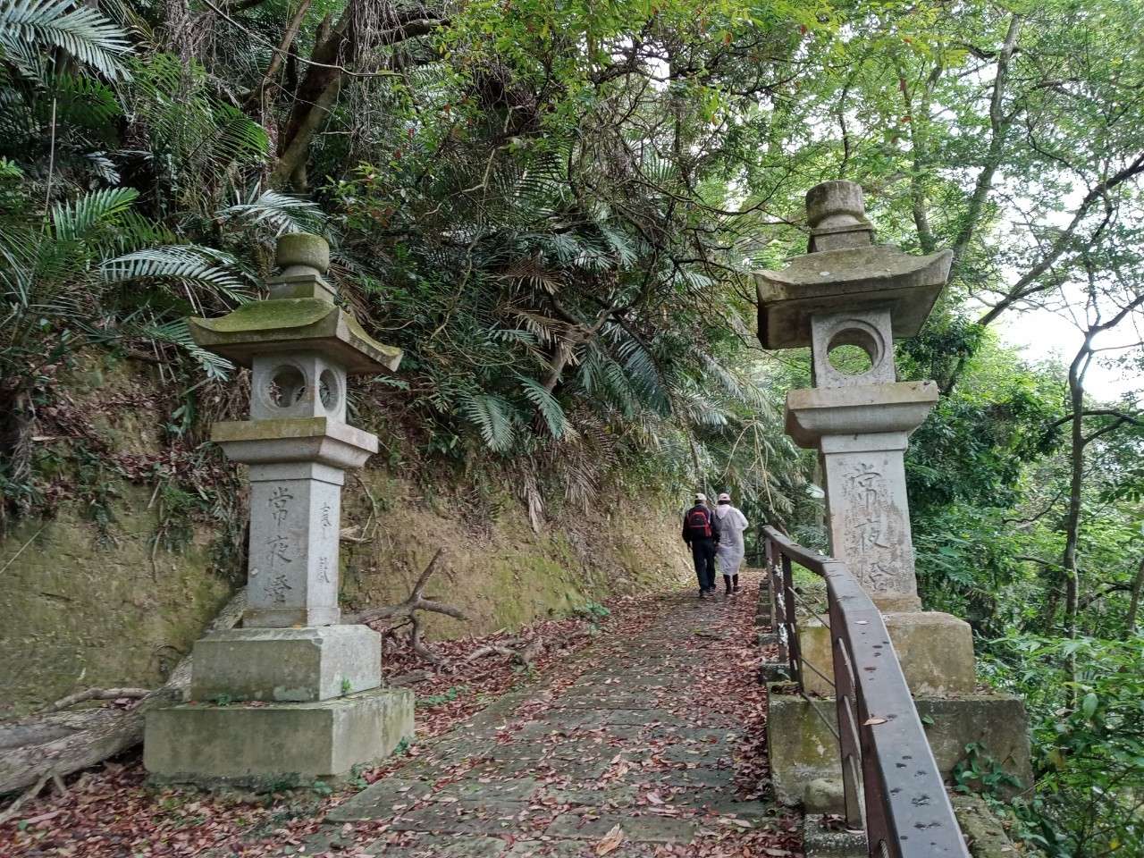 苗栗県南庄郷の山岳地帯・獅頭山周辺の緑豊かな渓谷風景