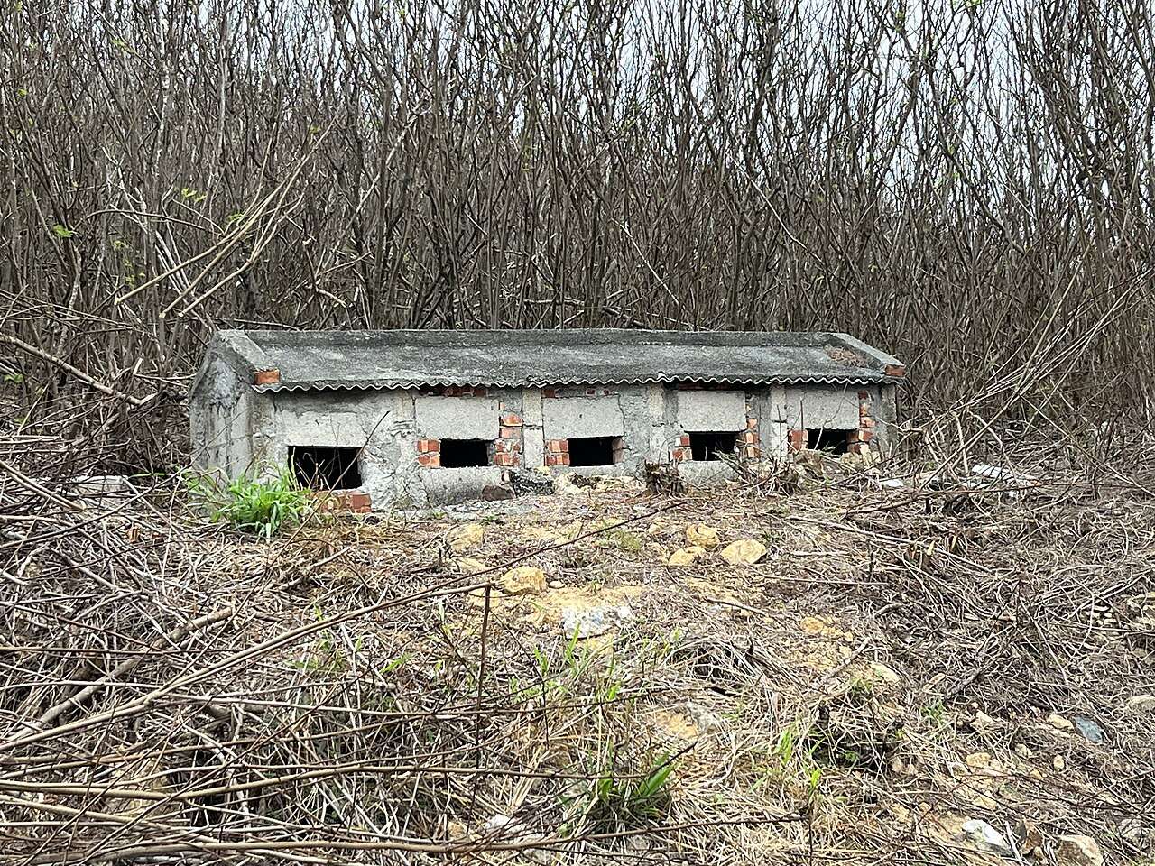 澎湖の伝統的な廟と離島の風景