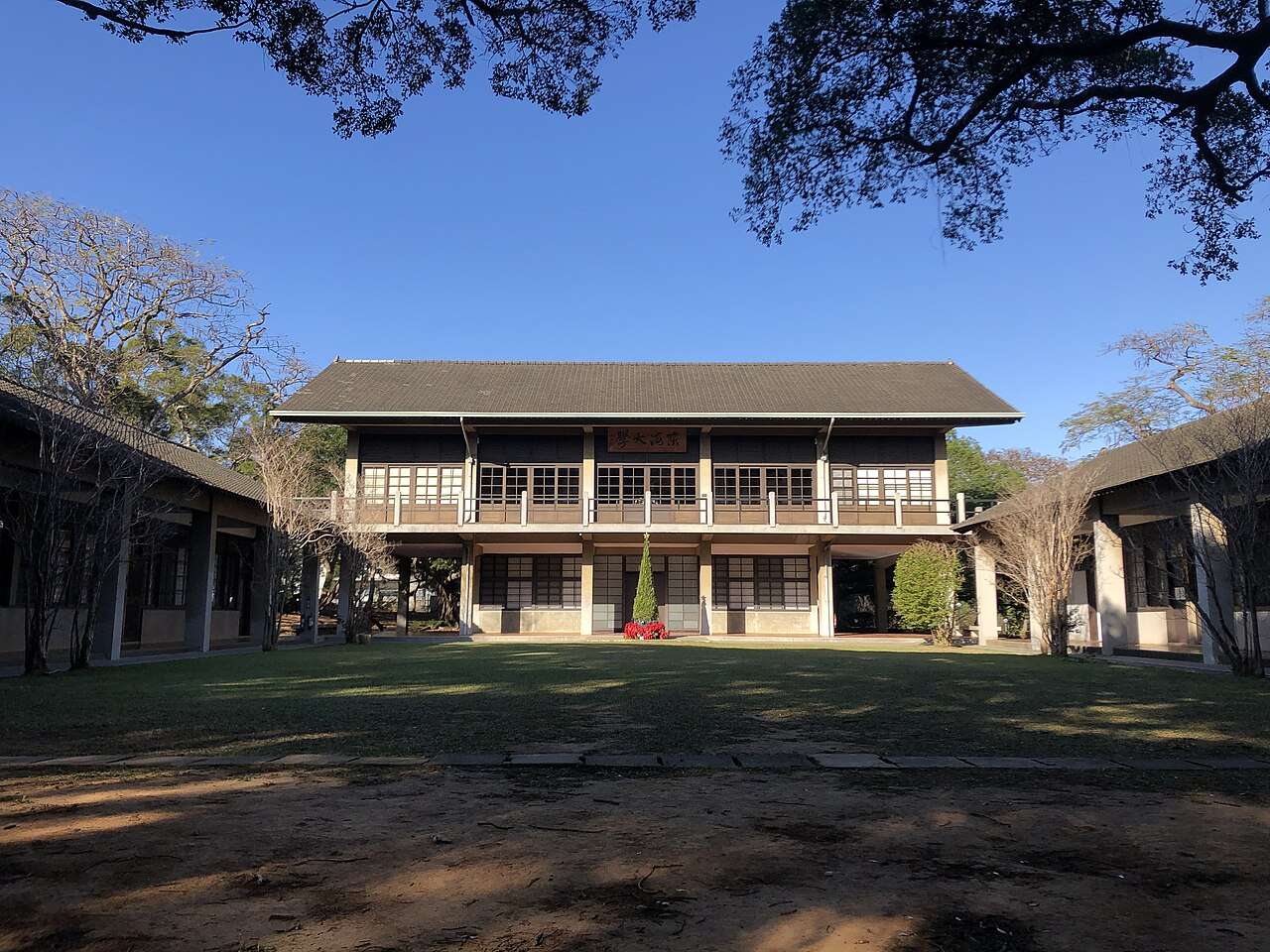 東海大学の学内建築と緑の並木道。歴史的な校舎が緑に囲まれている