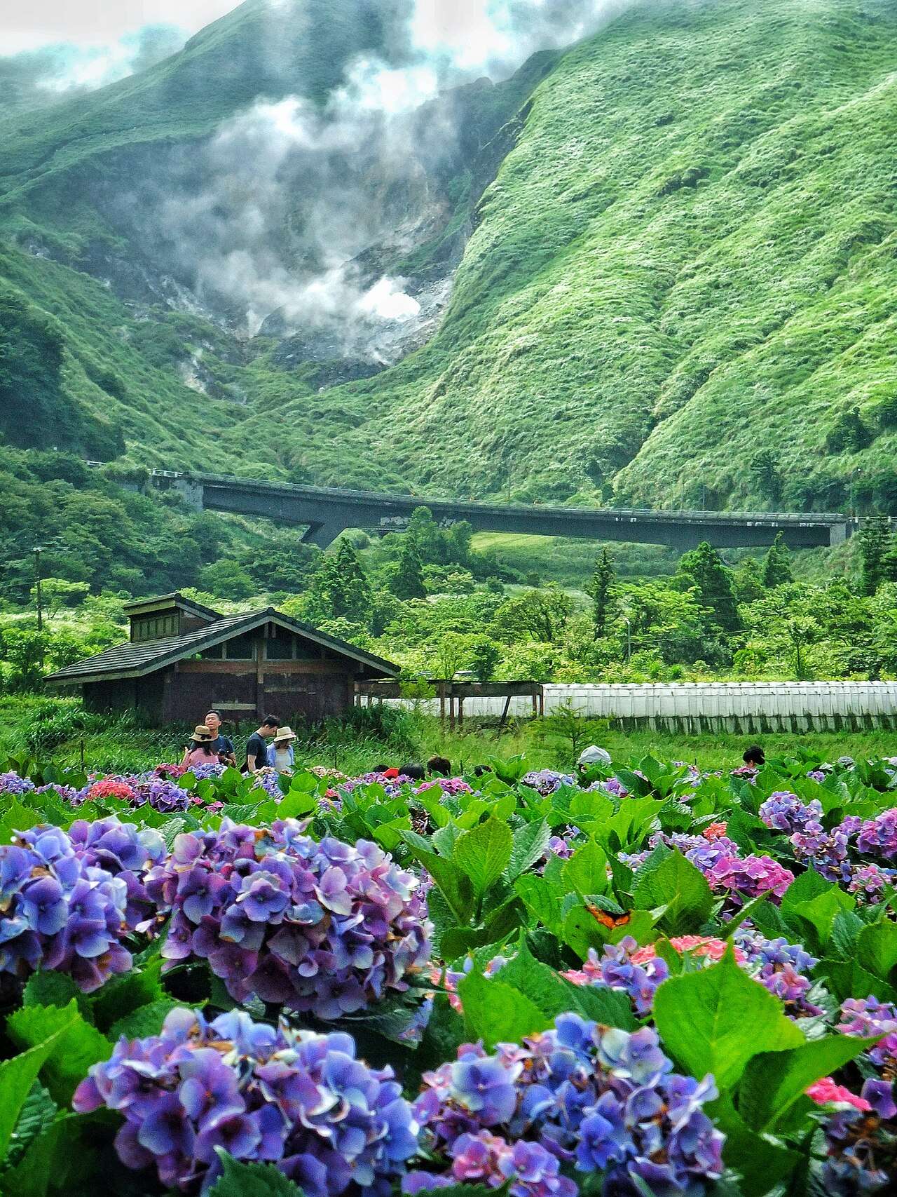 陽明山国家公園の緑豊かな山並みと青空