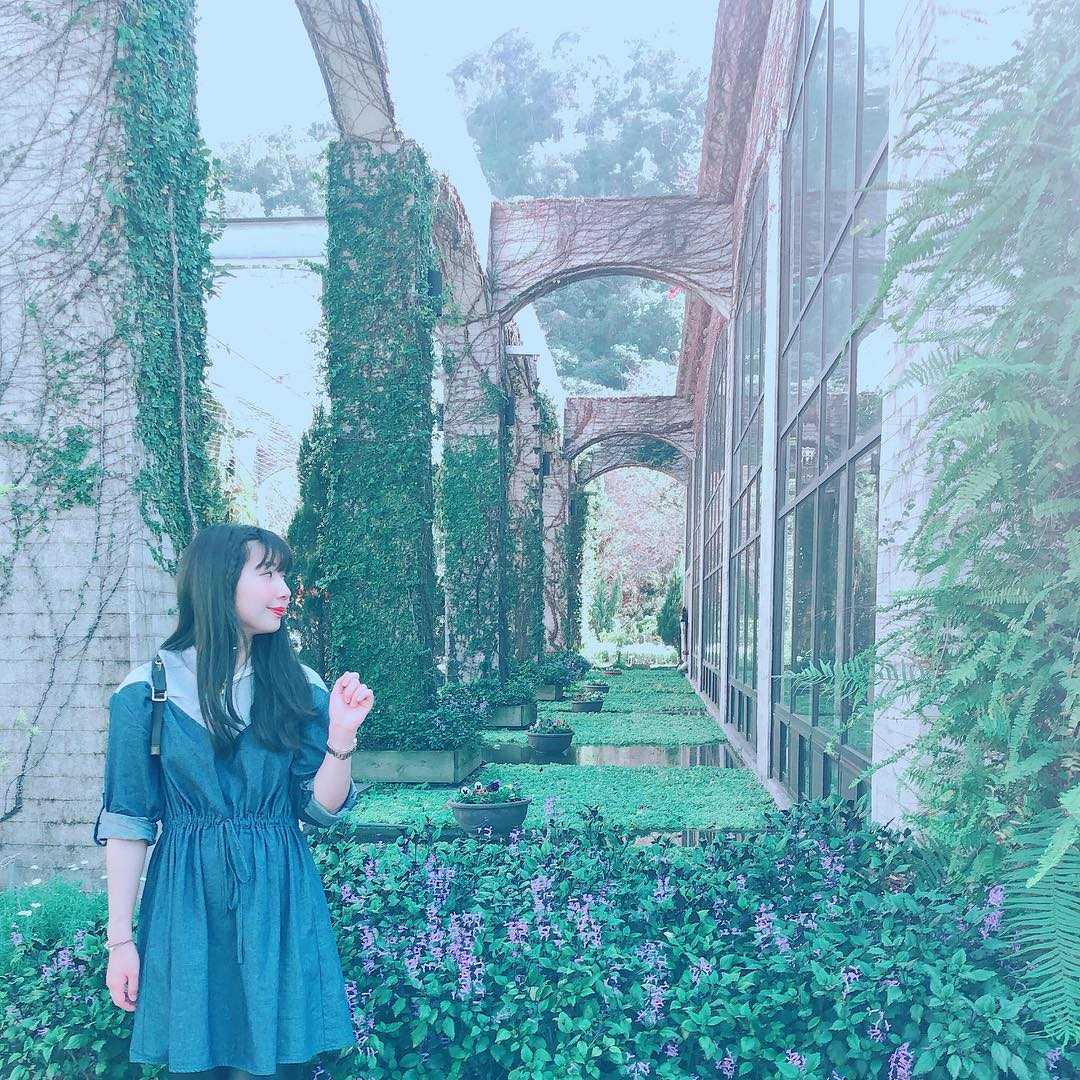 楓樺台一渡假村の水上コテージ（水上花屋）。複数の木造コテージが水面に映り込む
