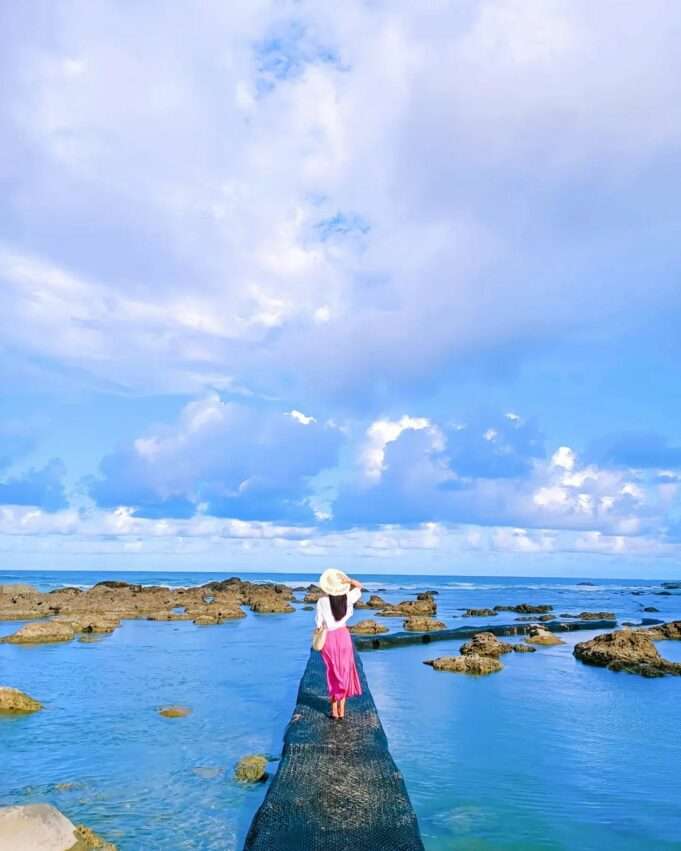 台東富山漁業資源保育区のサンゴ礁潮間帯。透明度の高い海水の中に魚群が見える