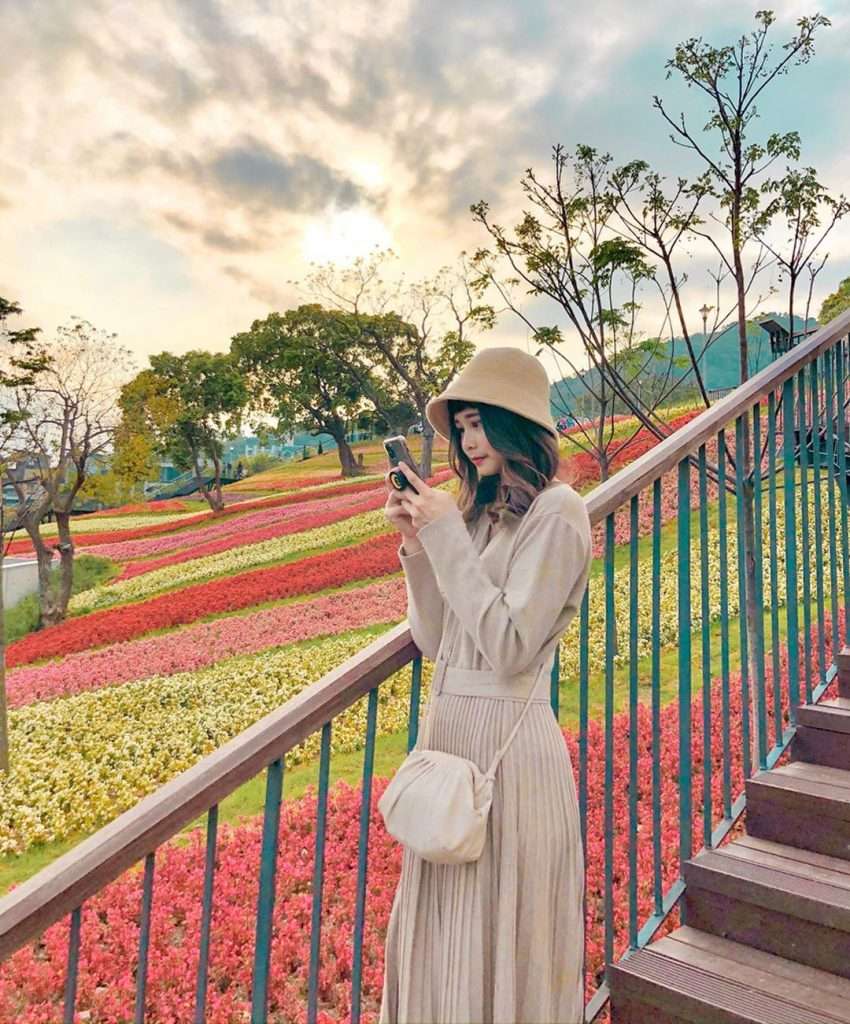 北投社三層崎公園の段々状の花畑、複数色の花が層を成して並ぶ景観