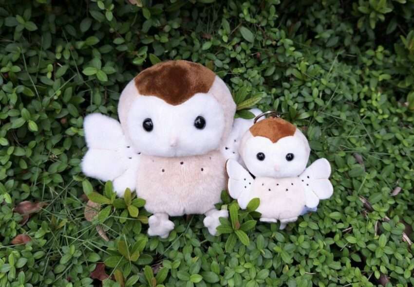 草フクロウのぬいぐるみとキーホルダーの親子セット。台湾の絶滅危惧種・草鴞のハート型の顔の特徴を再現
