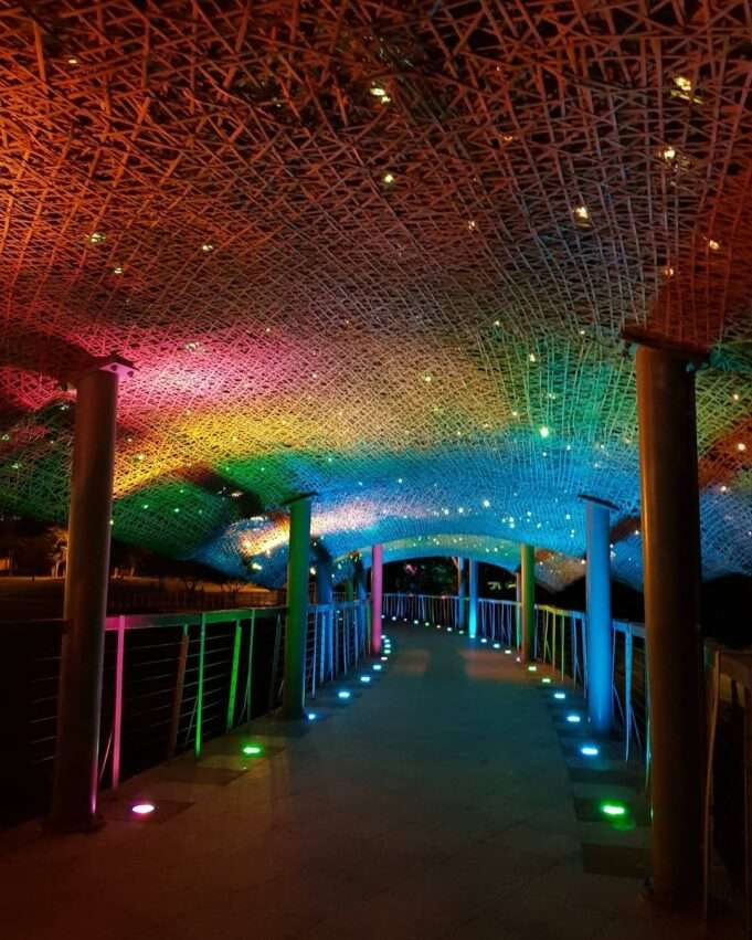 台東海濱公園の夜間光彫ショーの会場の雰囲気