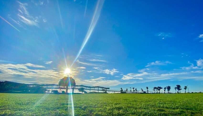 台東海濱公園の遊歩道と海岸の風景