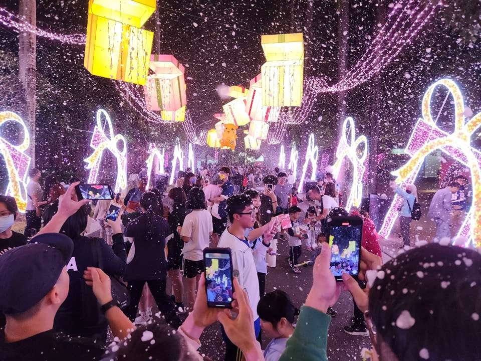 屏東クリスマスのバブルショー。ヤシ並木通りで泡と光が重なるロマンチックな夜景