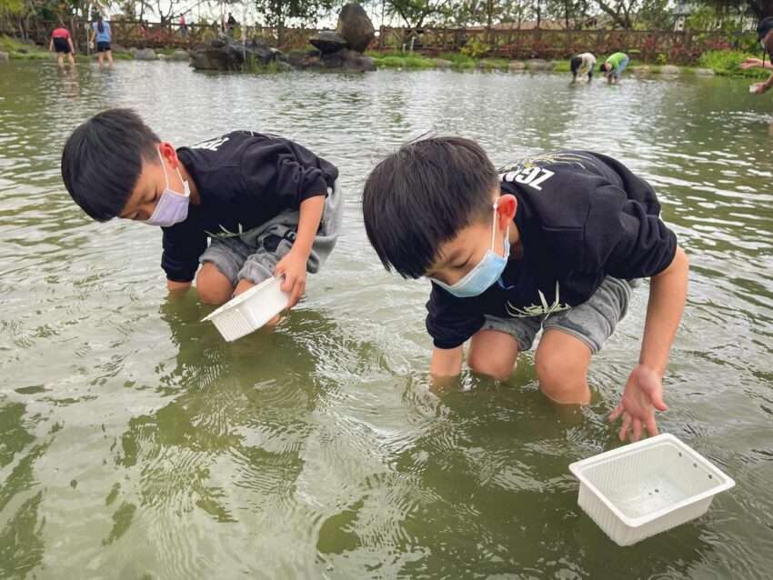 立川漁場のゴールデンシジミ養殖池と周辺の様子