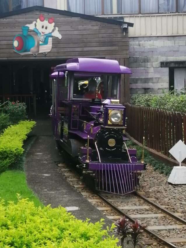 小人国の園内周遊列車が客家茶園の景観ルートを走行している様子